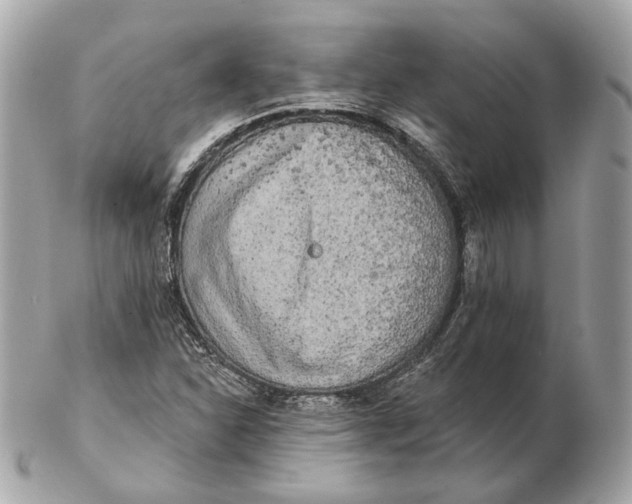 X0000102501310200808291703