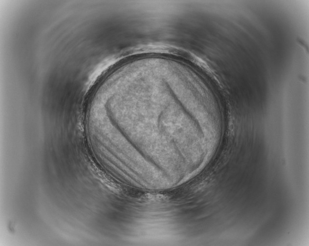 X0000102501312200808291703