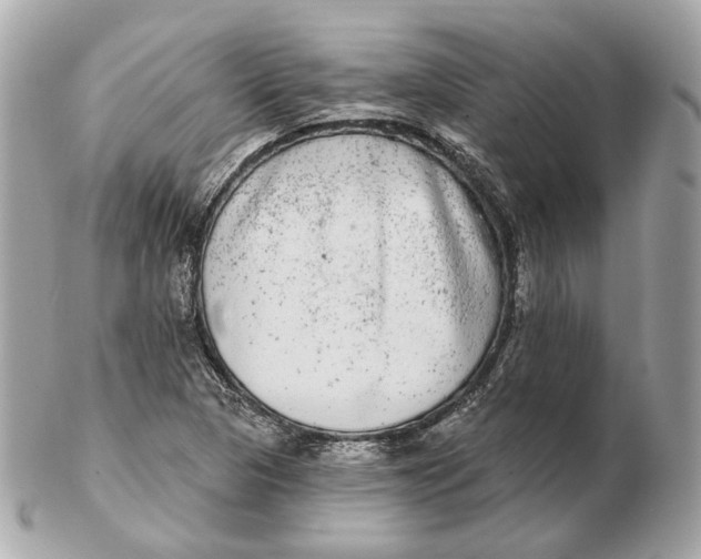 X0000102501313200808291703