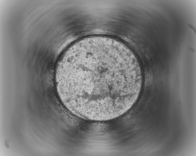 X0000102501314200808291703