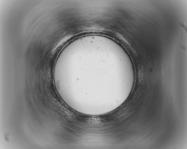 X0000102501315200808291703