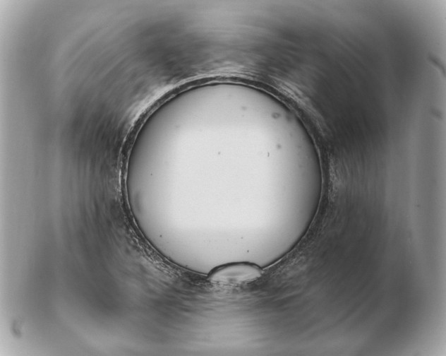 X0000102501316200808291703