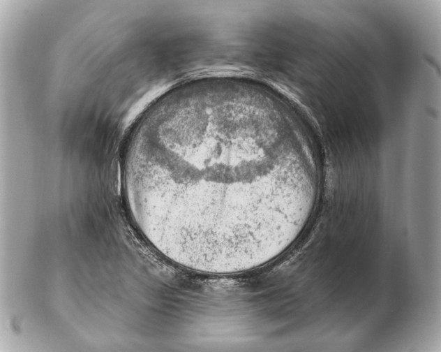 X0000102501317200808291703