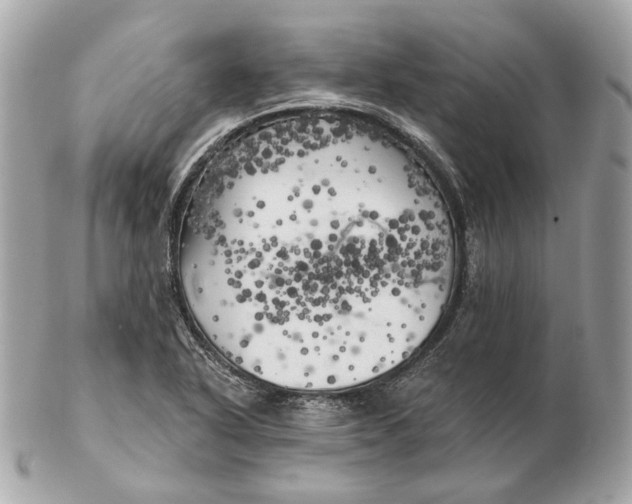 X0000102501318200808291703