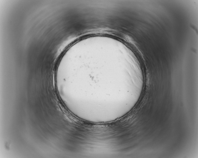 X0000102501320200808291703