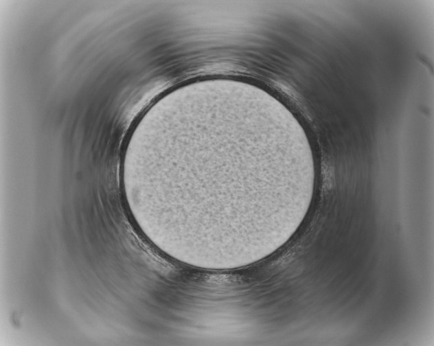 X0000102501322200808291703