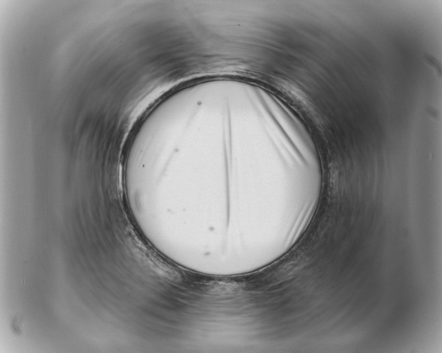 X0000102501324200808291703