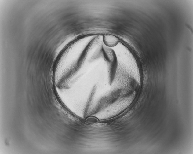 X0000102501325200808291703