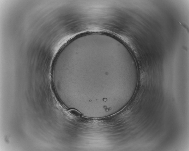 X0000102501327200808291703