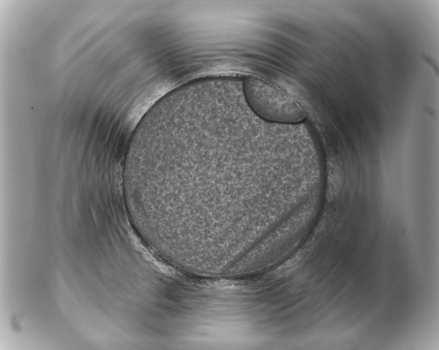 X0000102501329200808291703