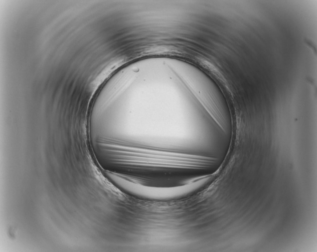 X0000102501330200808291703