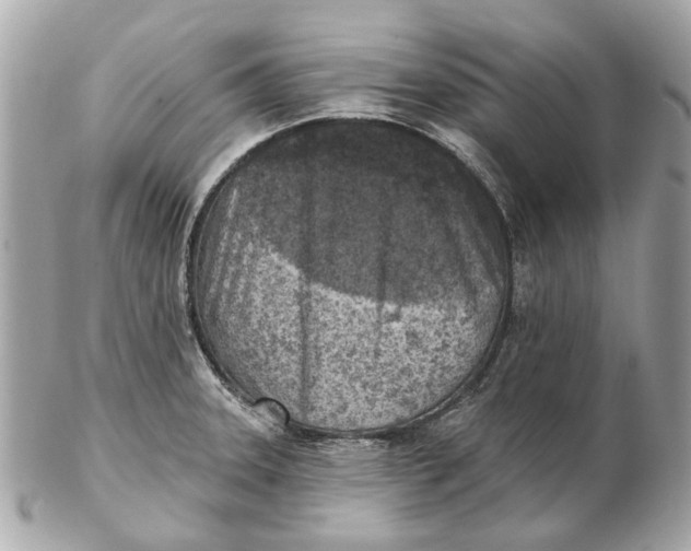 X0000102501331200808291703