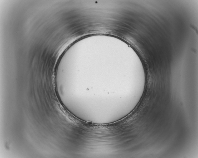 X0000102501332200808291703