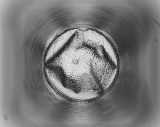 X0000102501333200808291703