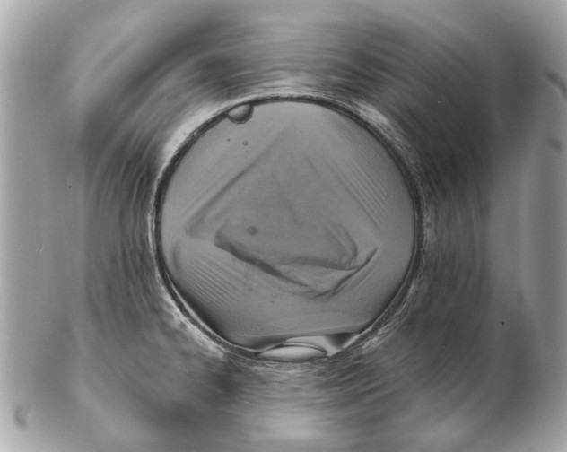 X0000102501334200808291703