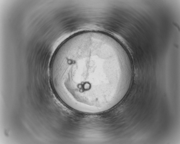 X0000102501335200808291703