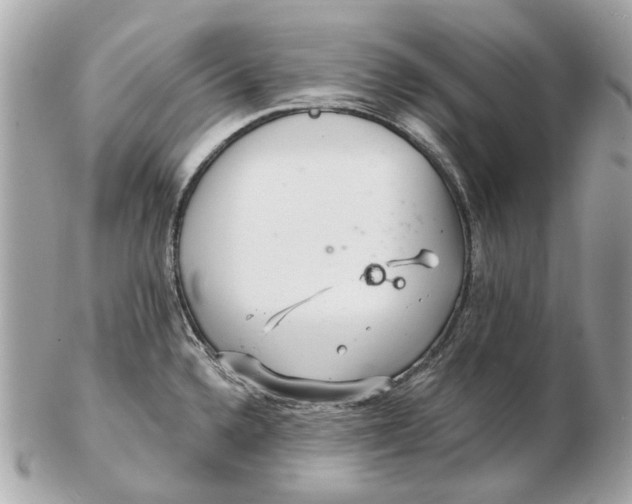 X0000102501336200808291703