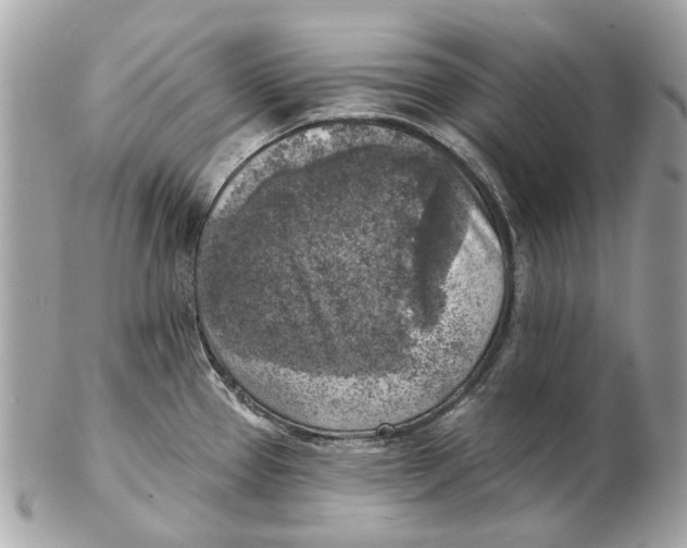 X0000102501337200808291703