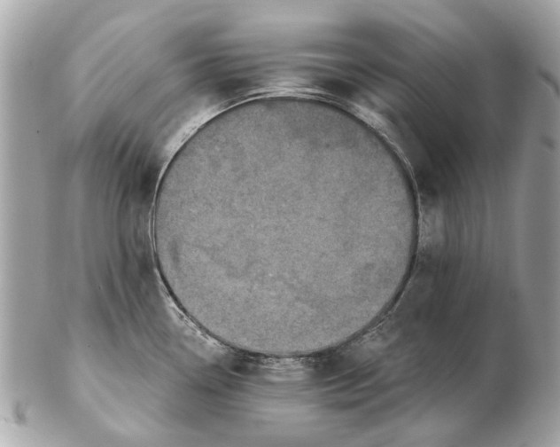 X0000102501338200808291703