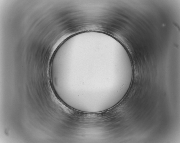 X0000102501339200808291703