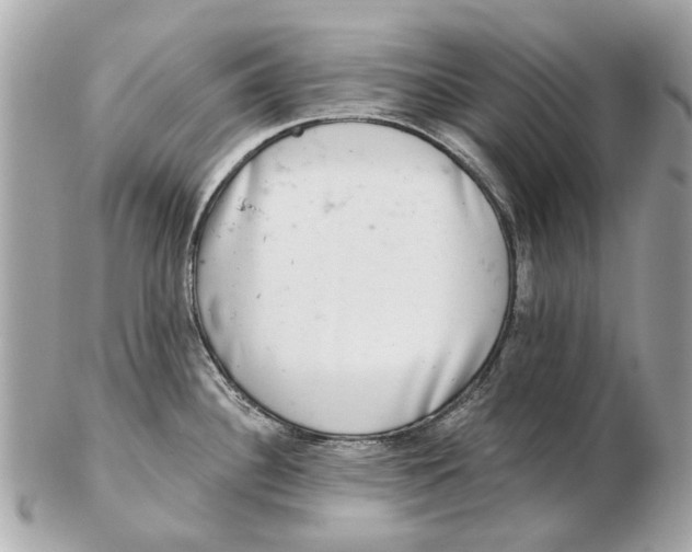 X0000102501340200808291703