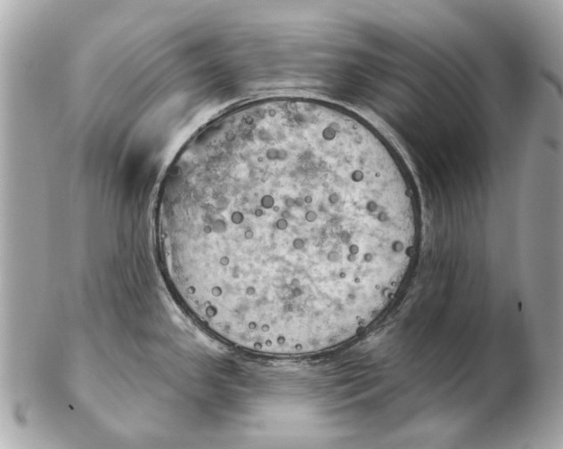 X0000102501341200808291703