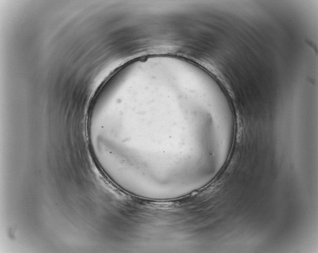 X0000102501342200808291703