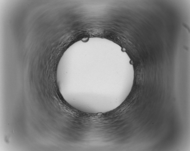 X0000102501345200808291703