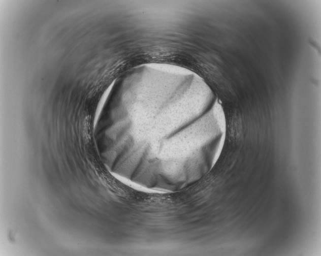 X0000102501346200808291703