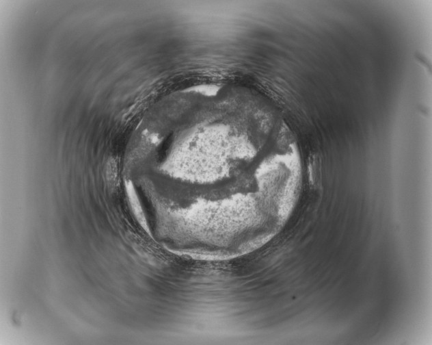 X0000102501347200808291703