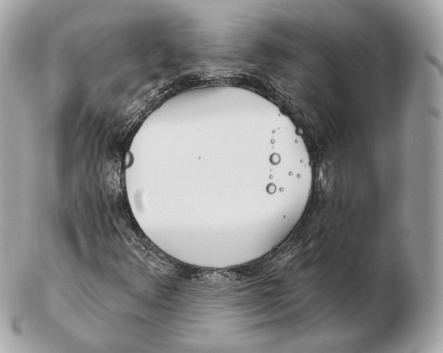 X0000102501348200808291703