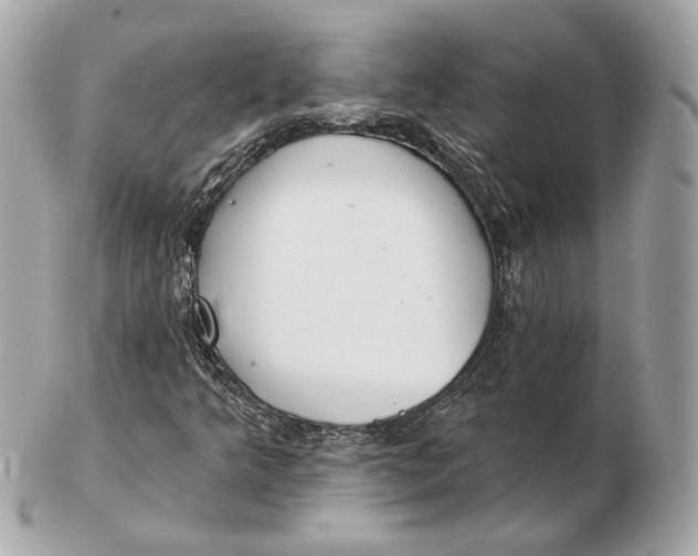 X0000102501349200808291703