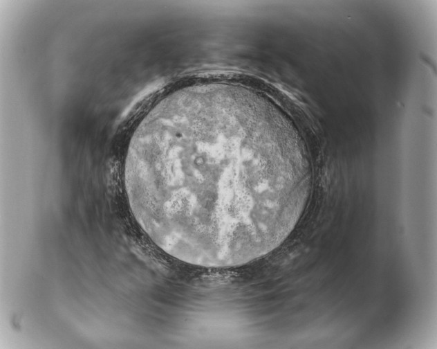 X0000102501351200808291702