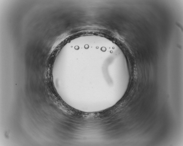 X0000102501352200808291702