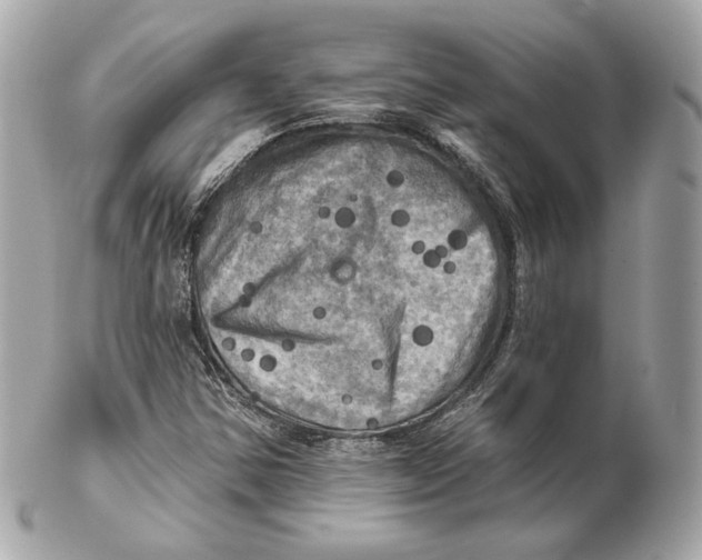 X0000102501354200808291702