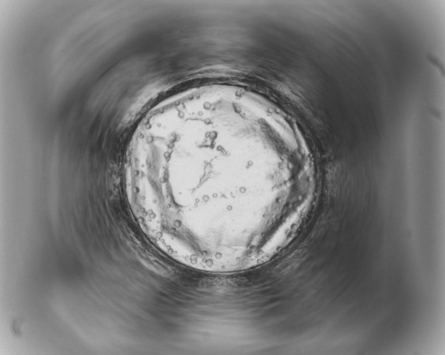 X0000102501355200808291702