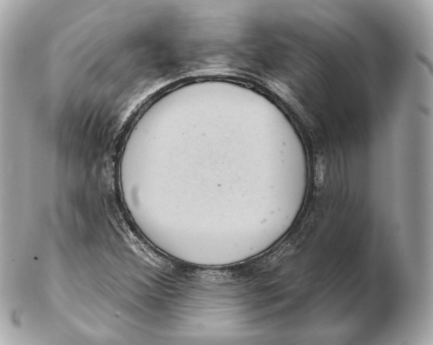 X0000102501356200808291702