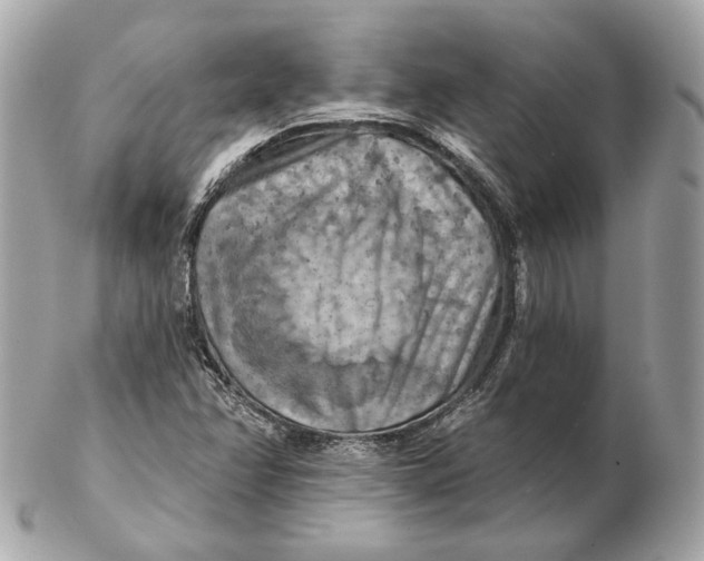 X0000102501358200808291702