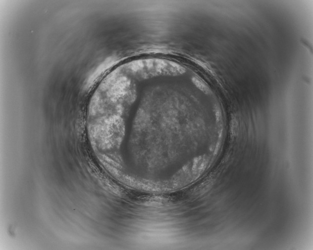 X0000102501359200808291702