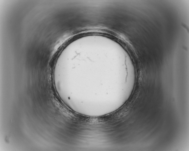 X0000102501360200808291702