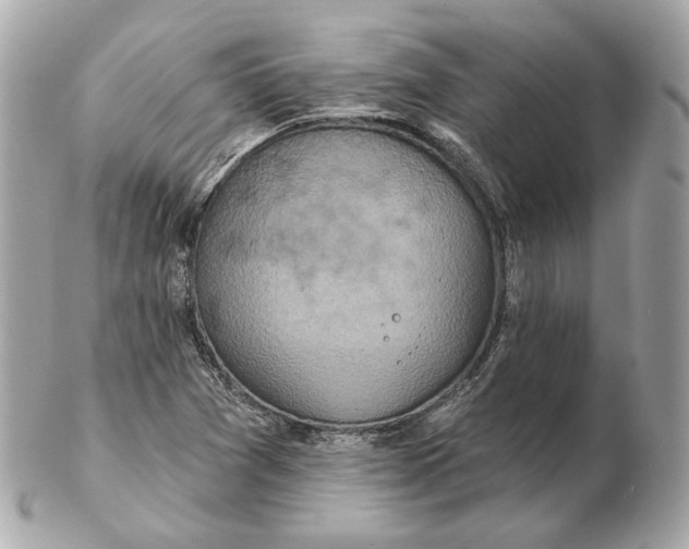 X0000102501361200808291702