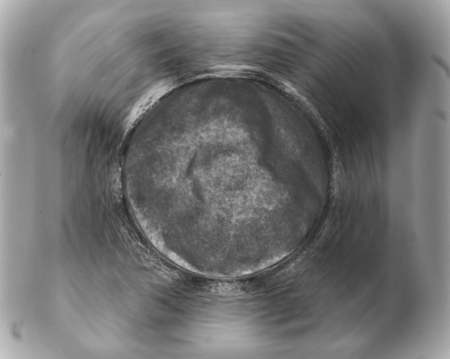 X0000102501362200808291702