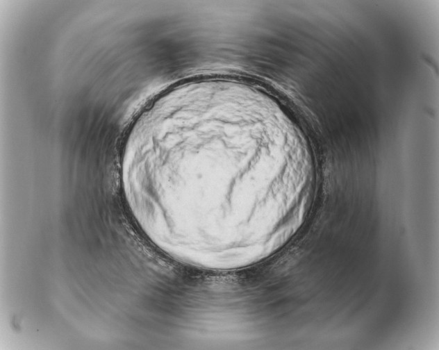 X0000102501363200808291702