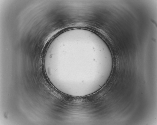 X0000102501364200808291702