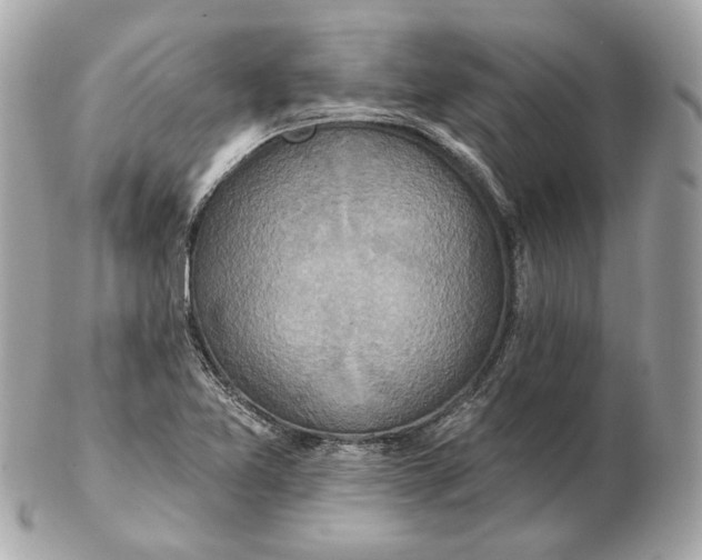 X0000102501365200808291702