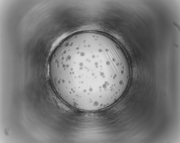 X0000102501366200808291702