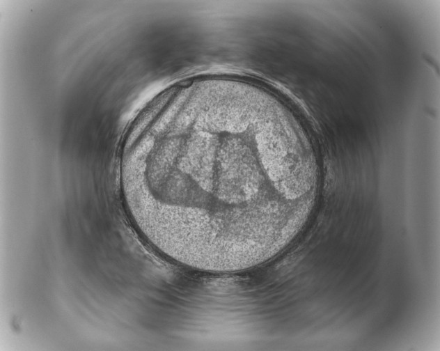 X0000102501367200808291702