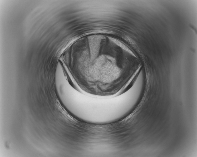 X0000102501369200808291702