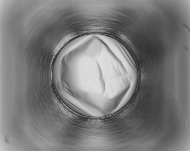 X0000102501370200808291702