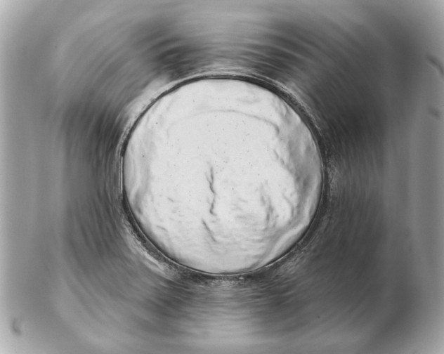 X0000102501371200808291702